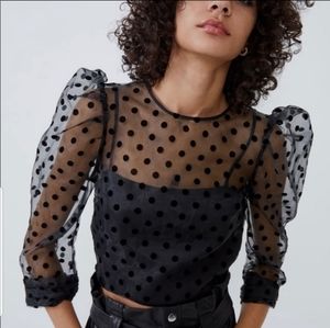 Zara Polka Dot Organza Puff Sleeves Top